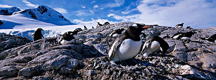 《漫威蜘蛛侠：重制版》允许玩家将PSN与Steam账号关联